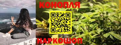 гашик Краснодар