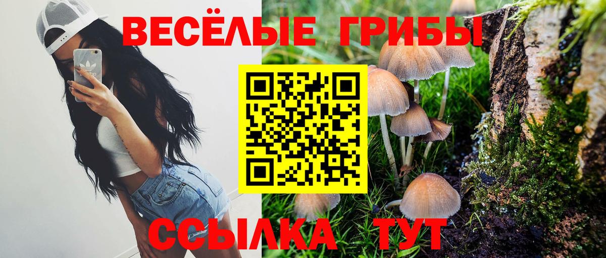Нефтеюганск  Псилоцибиновые грибы GOLDEN TEACHER  Вход с VPN 